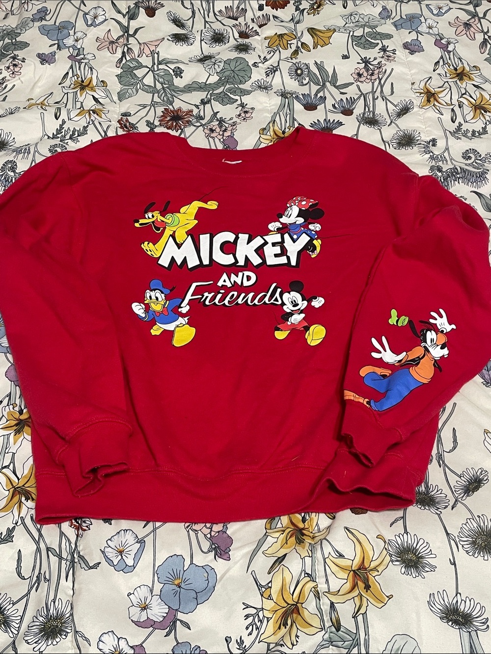 Disney Mickey Mouse & Friends Pull-Over Sweatshirt